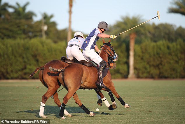 Once the day's sport was over –though not the drinking – the polo players, who had swapped jodhpurs for skintight white jeans, swarmed into the hospitality tent