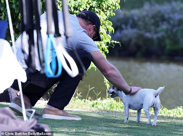 He paused briefly to pet a cute Jack Russell dog