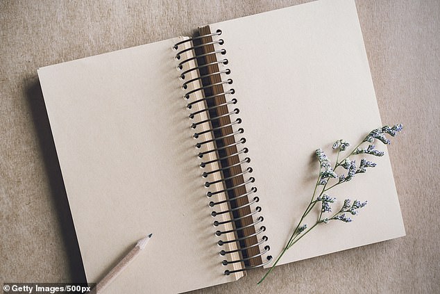 A set of thick-lined diary notebooks for journalling, collecting evidence, settling scores and keeping secret lists of potential royal racists