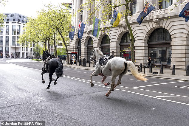 It is understood that three soldiers were injured after the horses spooked and smashed into cars and a bus