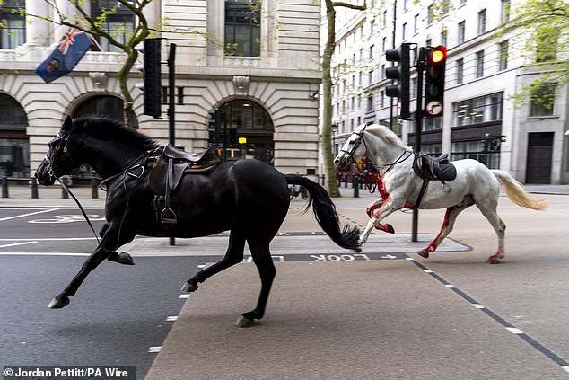 Buckingham Palace Road was closed after the shocking incident and a cordon was put in place