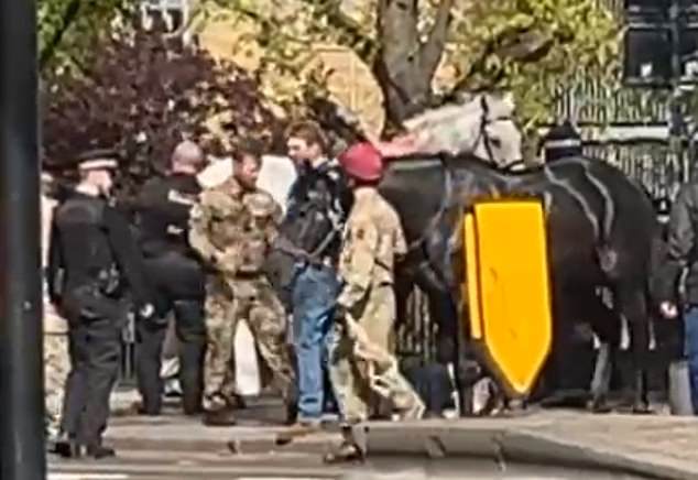 Soldiers led both the black and white horses away to their waiting horseboxes on Wednesday