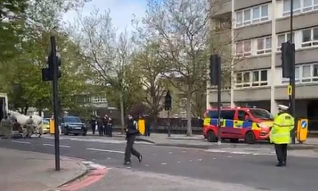 Police officers blocked off traffic while the two final horses were rescued