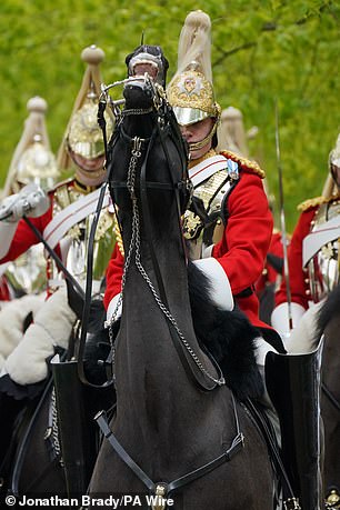 Members of the regiment were in Hyde Park this morning ahead of the inspection