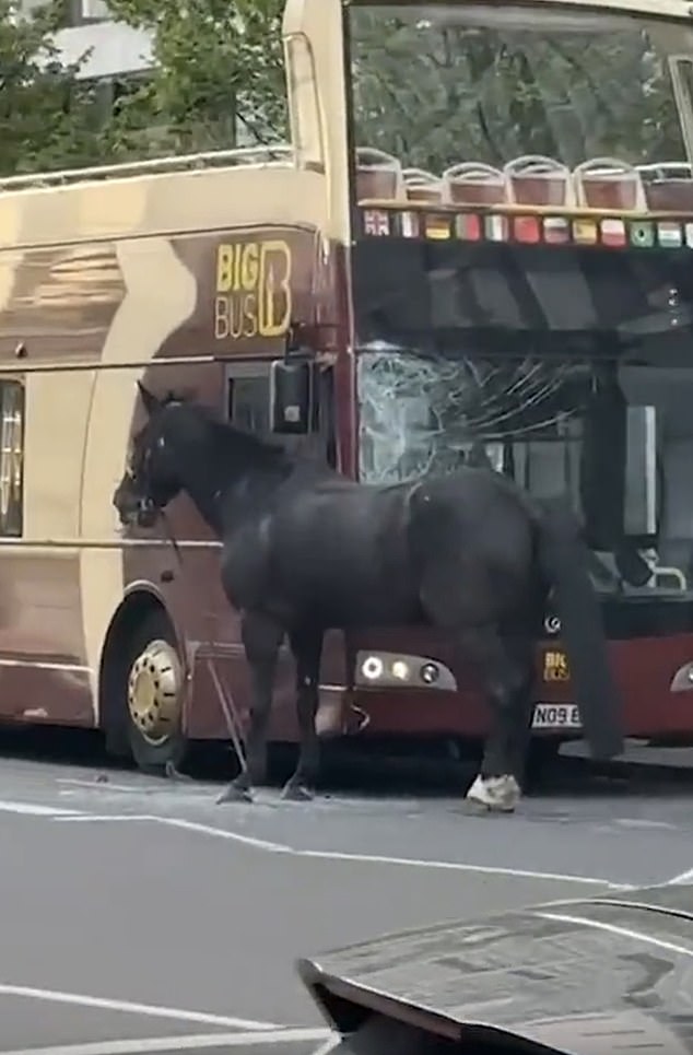 Tennyson seen after smashing into the widow of a London bus