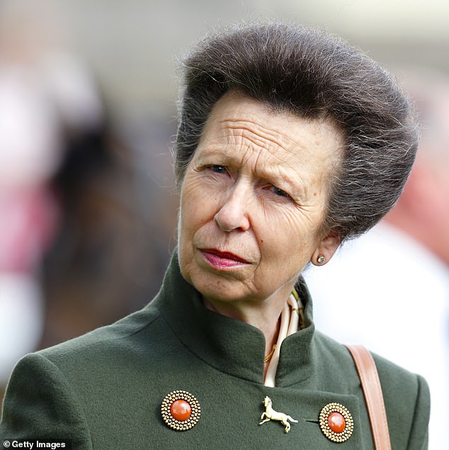 Denise McAdam tended to Princess Anne's famous beehive - but was told not to look her in the eye during the process