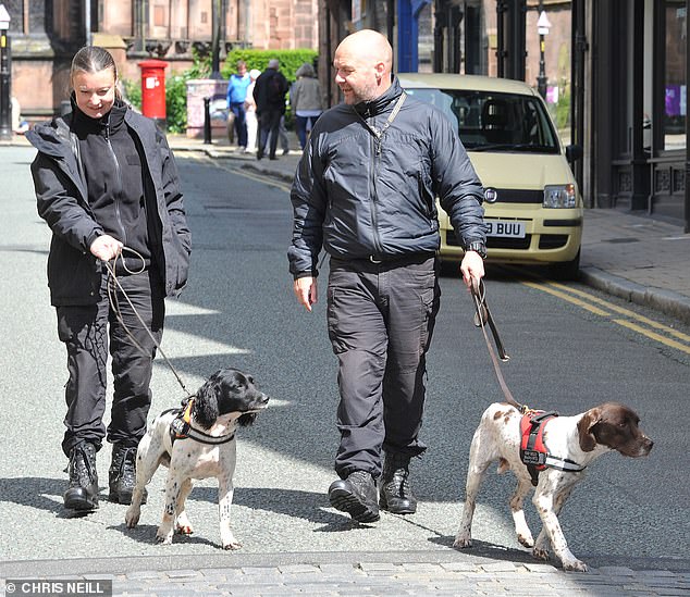 A large security cordon will be erected around the cathedral due to the presence of so many high profile guests. Pictured: Sniffer dogs in Chester