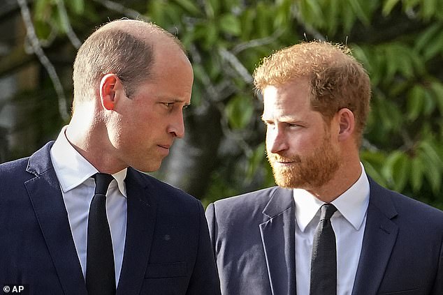 Reports suggest that while Prince Harry (pictured, right) has a strained relationship with King Charles, Prince William (pictured, left) has recently grown closer to his father (seen in Windsor after viewing the floral tributes for the late Queen Elizabeth II in September 2022)