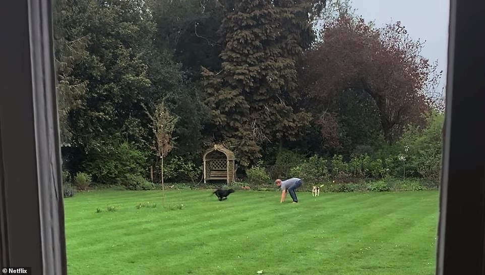 THE GARDEN. Photos taken in the garden of Frogmore Cottage reveal a few details about the outside space the Duke and Duchess enjoyed. A still from the Duke and Duchess's Netflix documentary Harry & Meghan reveals Prince Harry running around the garden of Frogmore Cottage chasing after the dogs. In the still, the Duke is seen tumbling over the freshly-mowed lawn with plenty of trees and bushes in the background, suggesting the couple lived in lush surroundings with lots of greenery. Also in the shot is a wooden garden bench with a trellis behind and overhead, fit for growing climbing plants such as ivy or wisteria. Although bare at the time the photo was taken, the bench appeared a tranquil place within the garden.