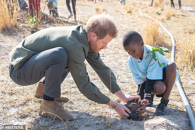 Prince Harry pictured helping a schoolboy plant a tree at the Chobe National Park in Botswana, 2019