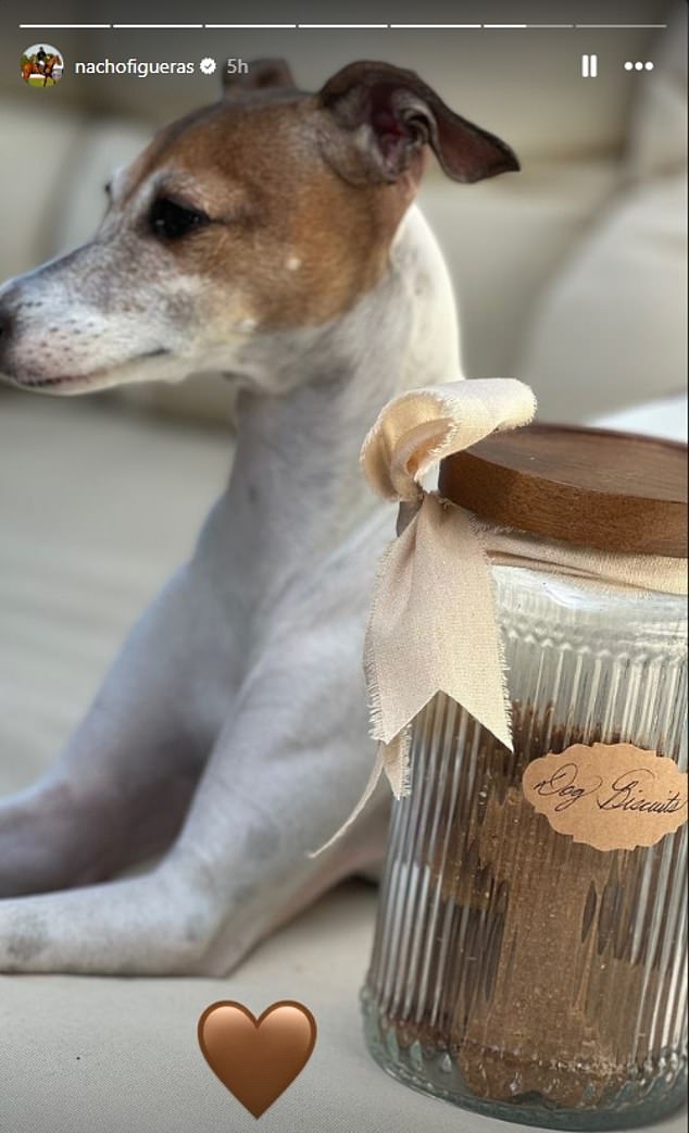 A photo posted on Instagram by Nacho Figueras of the container of dog biscuits included in the latest goods promoted from American Riviera Orchard