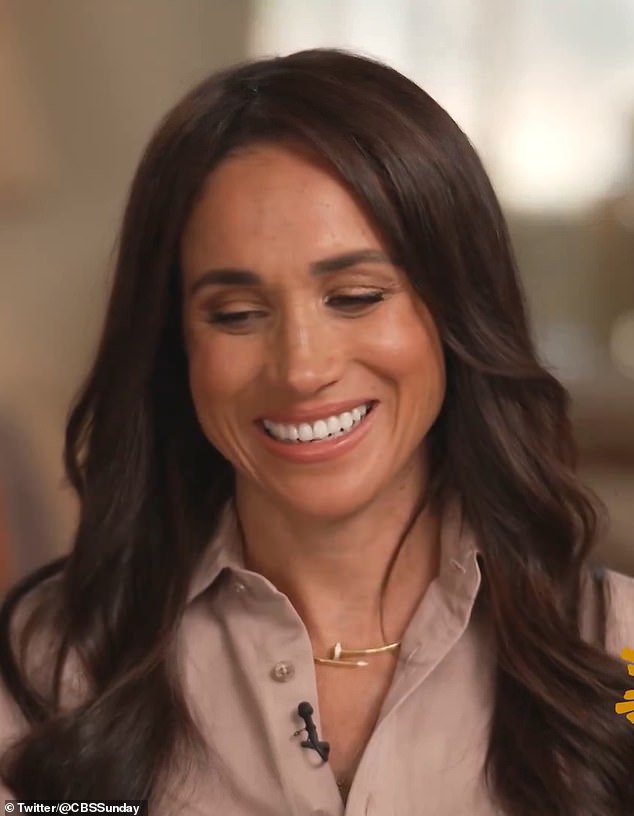 Meghan at one point encouraged onlookers to 'look at it through the lens of 'What if it was my daughter? What if it was my son? 'If you look at it through the lens as a parent, there's no way to see that any other way than to try to find a solution'