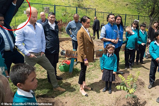 A security guard was seen holding aloft the bulletproof shield as Harry and Meghan helped children plant trees in the garden of a school on Friday