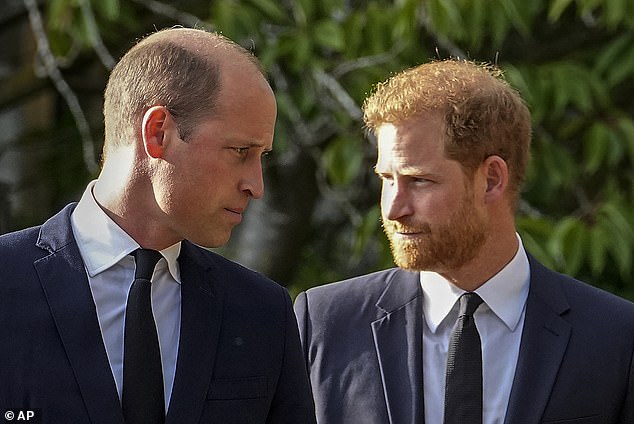 Prince William and Prince Harry walk beside each other after viewing the floral tributes for the late Queen Elizabeth II outside Windsor Castle