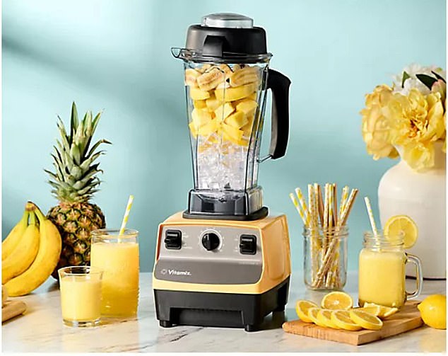 Whip up anything in your Vitamix from tropical smoothies to frozen margs and beyond!