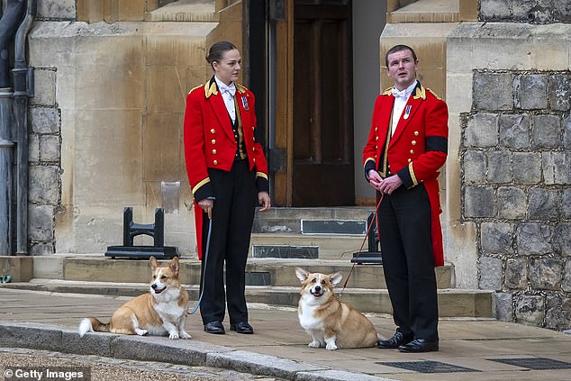 During the Queen's funeral procession in 2022, two of her corgis, Muick and Sandy, were brought out of Windsor Castle to watch the passing of the cortege carrying her coffin