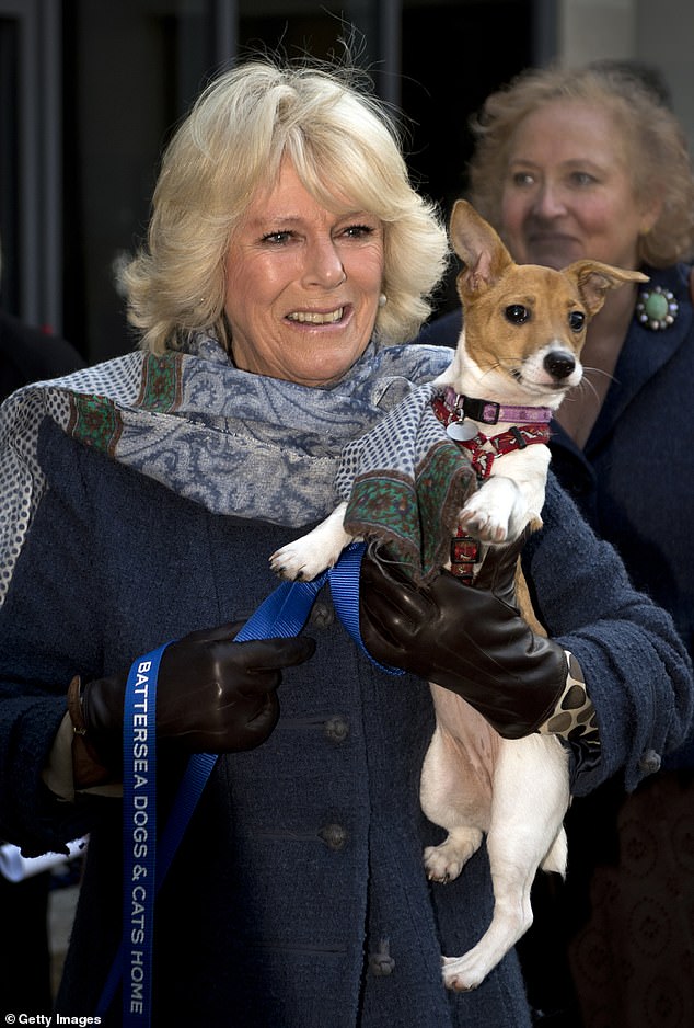 Camilla holding Jack Russell Bluebell during a visit to the shelter