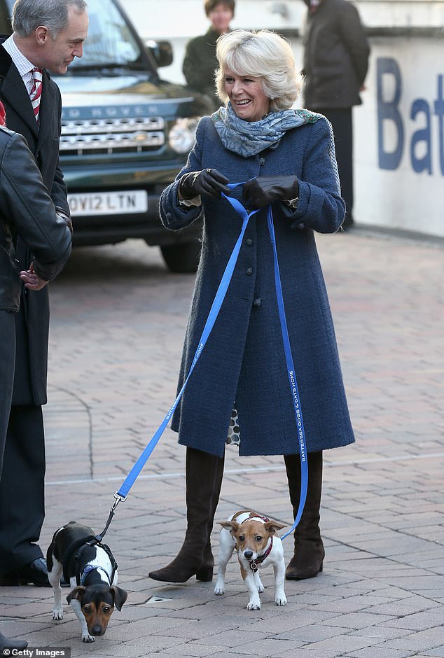 Queen Camilla with her two beloved Jack Russell Terriers Beth and Bluebell during a visit to Battersea Dog and Cats home in 2012