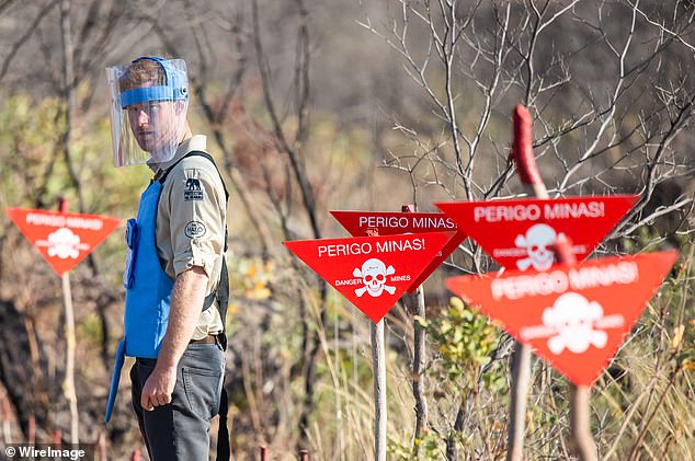 Prince Harry walks through a minefield during a visit to see the work of landmine clearance charity the Halo Trust, on day five of the royal tour of Africa in 2019