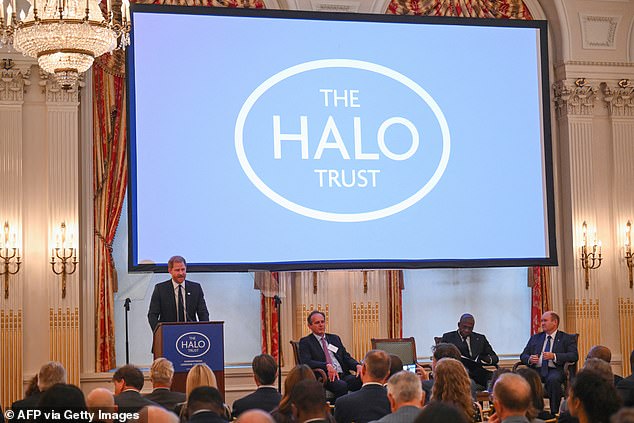 Wearing a navy suit with a Halo Trust pin on his lapel, he recalled following in his mother's footsteps in 2019 when he visited Angola, 22 years after Diana had walked through minefields in the African country