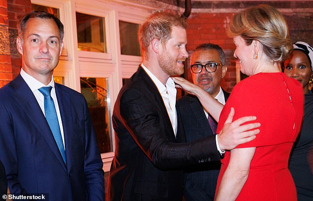 Prince Harry is seen greeting Queen Mathilde of Belgium during a high-level dinner on 'Violence against children and its impact on mental health' in New York City