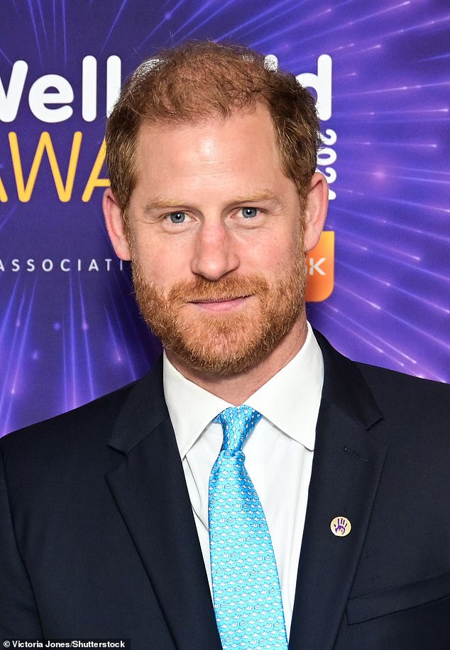 The Duke of Sussex photographed at the WellChild Awards in London earlier this year