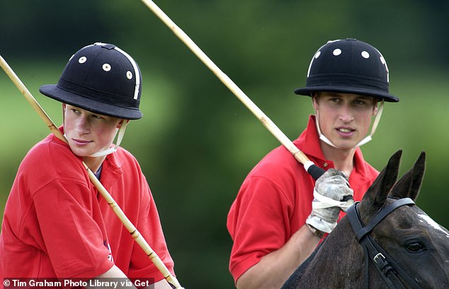 Harry and William take part in a game at Tedworth Polo Club in Wiltshire to raise money for charity in 2002