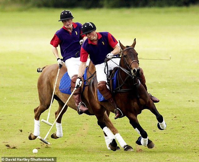 Prince William, pictured with Prince Harry, takes aim at the ball during a match at the Beaufort Club in the Cotswolds in 2002