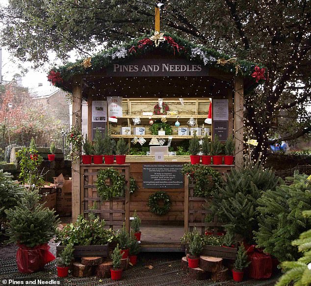 With Christmas just around the corner, it¿s the perfect time to pick out your tree. There are over 30 Pines and Needles stores across London