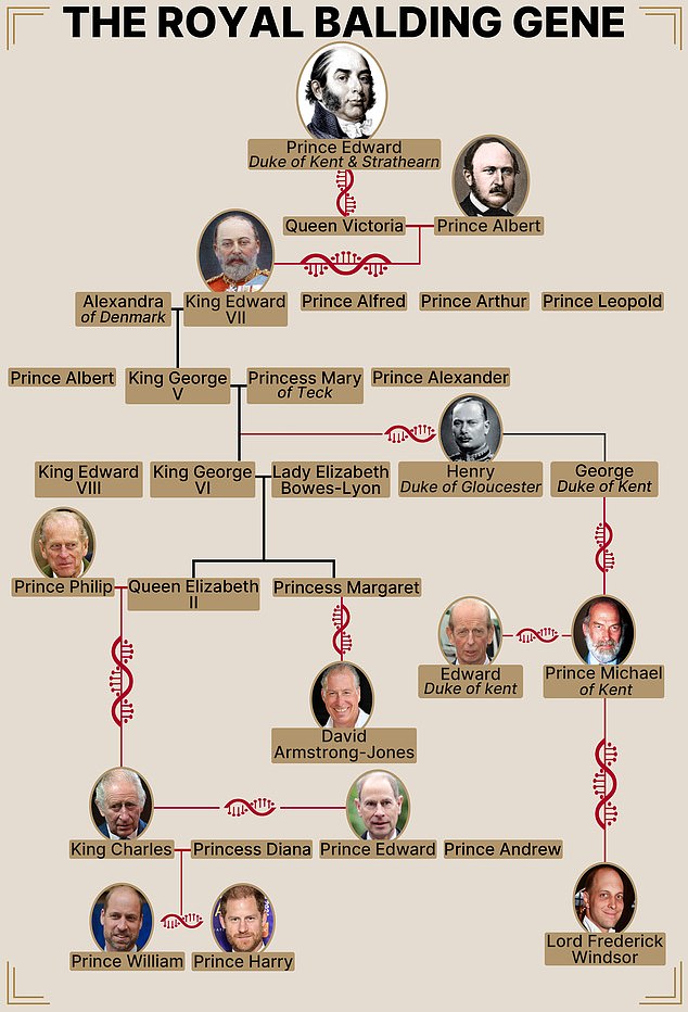 The Royal Family tree showing how balding may run through the monarchy