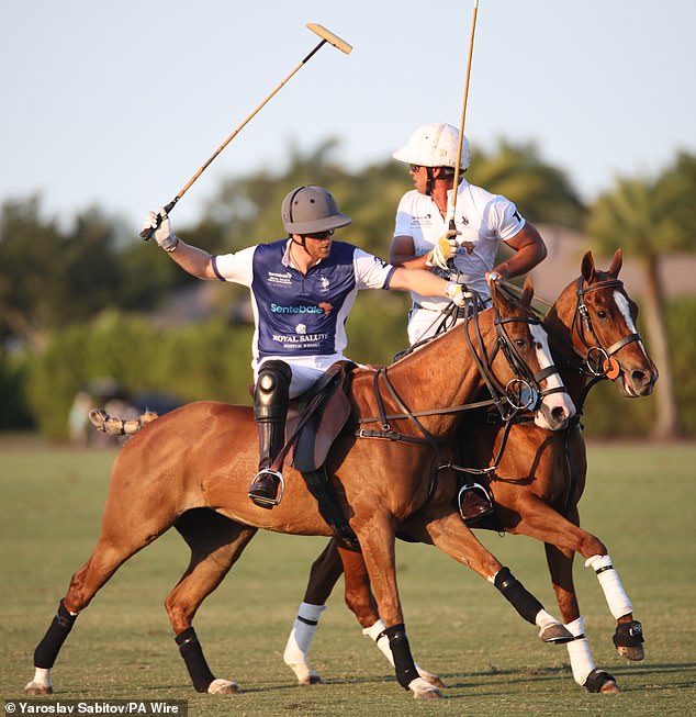 Harry has played polo for years, but the sport is far from accessible for a person earning an average salary