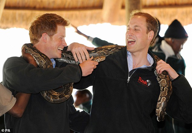 Harry teases William by holding the head of an African Rock Python towards his brother in Botswana in 2010