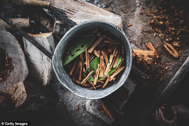 Her daughter Rochel, 32, was told her that her mother collapsed ten minutes after drinking the ayahuasca. Pictured: Part of the preparation process of ayahuasca tea