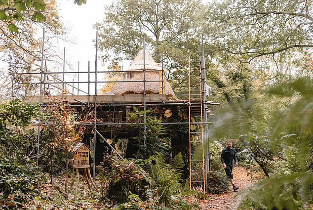 It is a treehouse fit for royalty, built for Princes William and Harry (pictured as boys in 1999) to play in when they were children