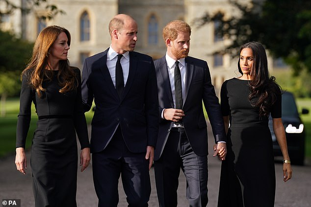 'He seemed charmed, moved, though Kate announced to the table that he'd never take such unconventional remedies,' the Duke of Sussex wrote of Meghan offering it to Prince William