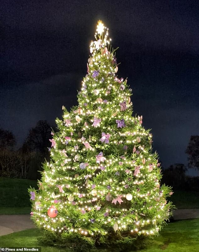 As the trusted supplier for Blenheim Palace, Kensington Palace Gardens (pictured) and this year¿s Royal Variety Performance, Pines and Needles are experts in regal décor