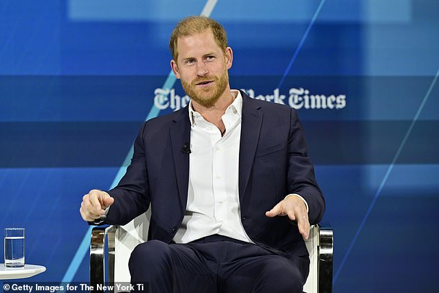 The Duke of Sussex speaks onstage during The New York Times Dealbook Summit 2024 in the Big Apple yesterday