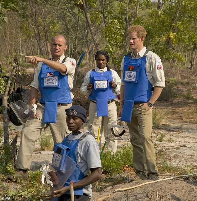 The Prince working with the Halo Trust in Angola back in 2013