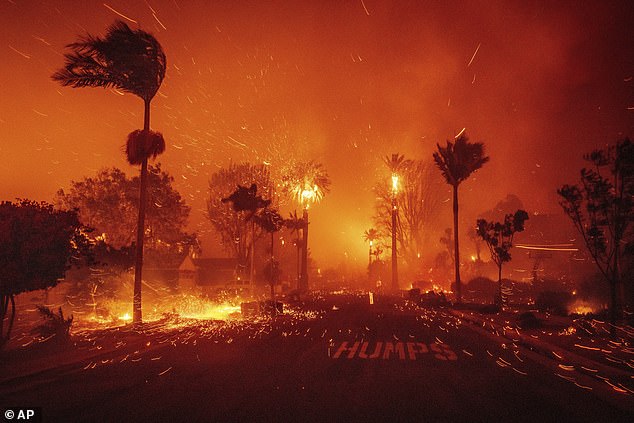 At least 24 people have been killed by the Palisades and Eaton fires that destroyed more than 12,000 structures in Southern California