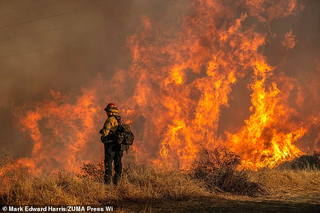 Flames near a fire road above Mandeville Canyon during the Palisades Fire on January 11