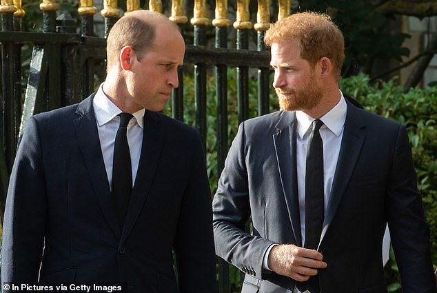 Prince William and Prince Harry arrive to view the floral tributes to Queen Elizabeth II outside Windsor Castle on September 10, 2022