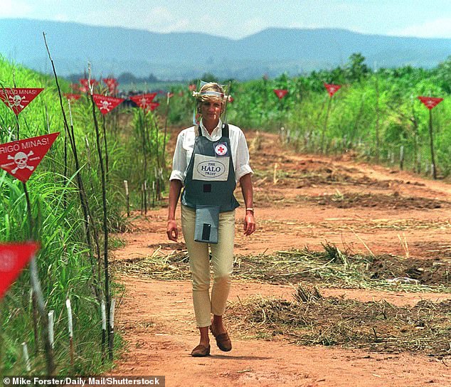 One source insisted that the couple 'don't know what change the world means', adding: 'Diana walked amongst land mines. Meghan couldn¿t even say the word sl*t'