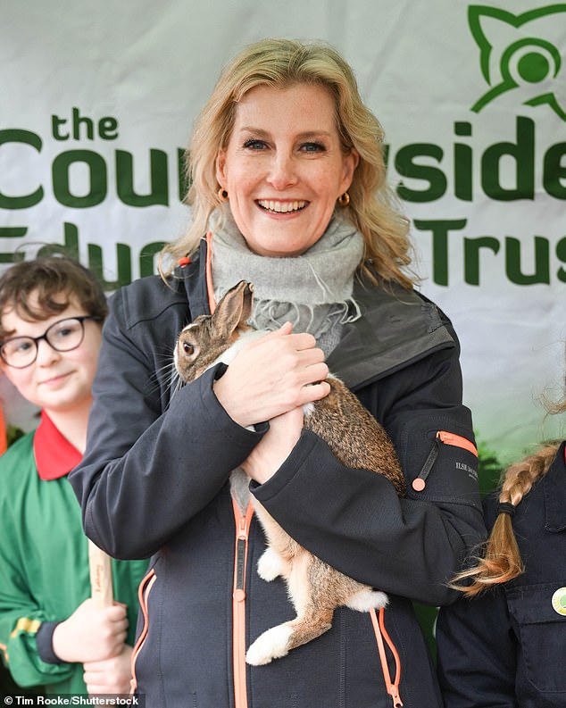 Sophie, pictured as she visited the Countryside Education Trust in March 2023, has long been viewed as a safe pair of hands in the Royal Family