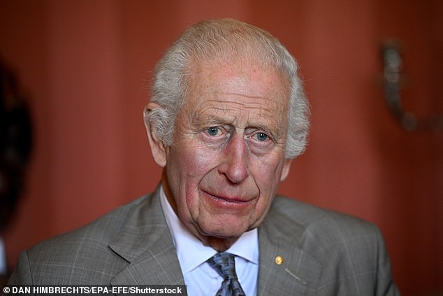 King Charles III attends a Sustainable Markets Initiative discussion at Admiralty House in Sydney in October