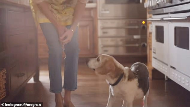 Meghan's kitchen showed her love for her family, pets and cooking. Pictured with her dog Guy