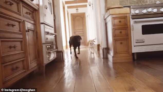 In one shot of her pets running through her home, the open-plan design could be seen