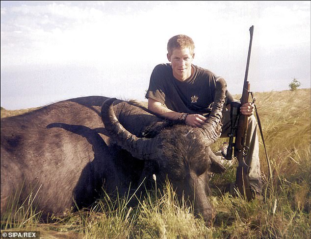 Prince Harry smiles triumphantly and crouches beside the carcass of a recently killed water buffalo in Argentina