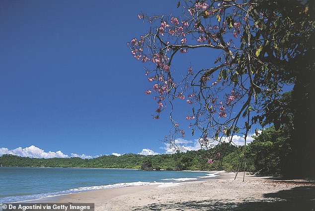 The pair have followed in the footsteps of A-listers such as superstar Shakira, comedian Kevin Hart and actress Jane Seymour who have all made recent visits to the picturesque country. Pictured: Espadilla Beach, Manuel Antonio National Park, Costa Rica