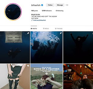 Billie Eilish's Instagram page was also silent on the good deed