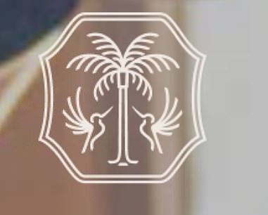 She also unveiled her business' new logo: a palm tree with two hummingbirds hovering on either side of it